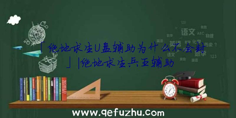 「绝地求生U盘辅助为什么不会封」|绝地求生兵王辅助